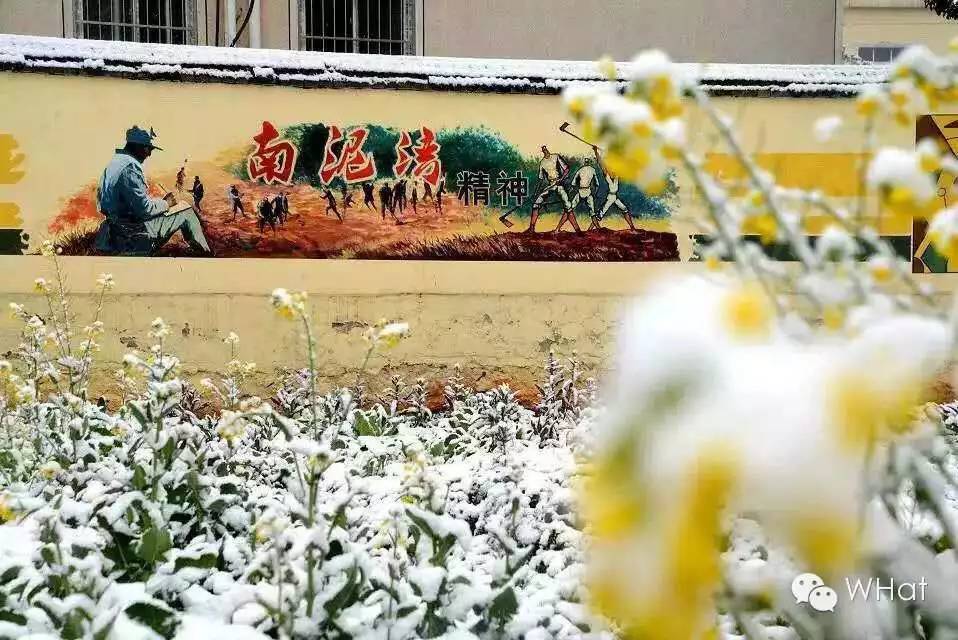 武汉只下一天雪吗,武汉下的是雪吗