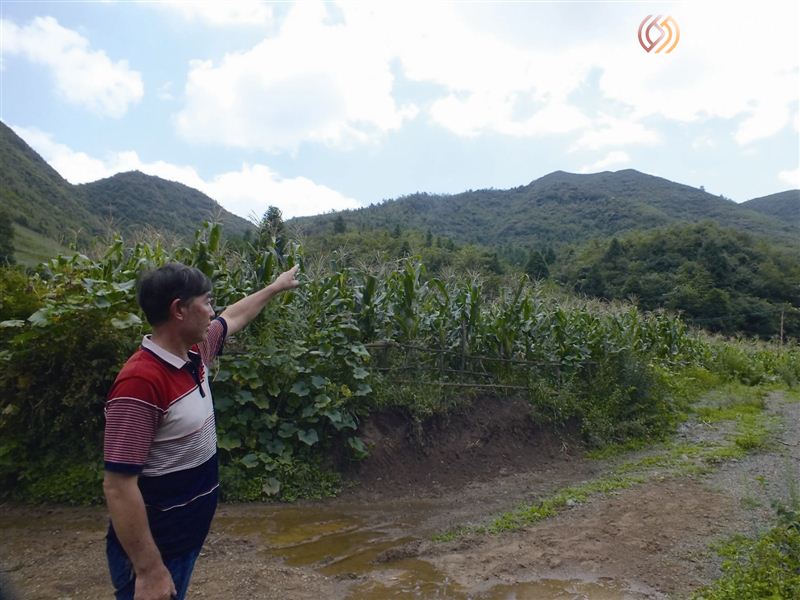 四川退耕还林补偿款什么时候发,给五年退耕还林款说是没地补了吗