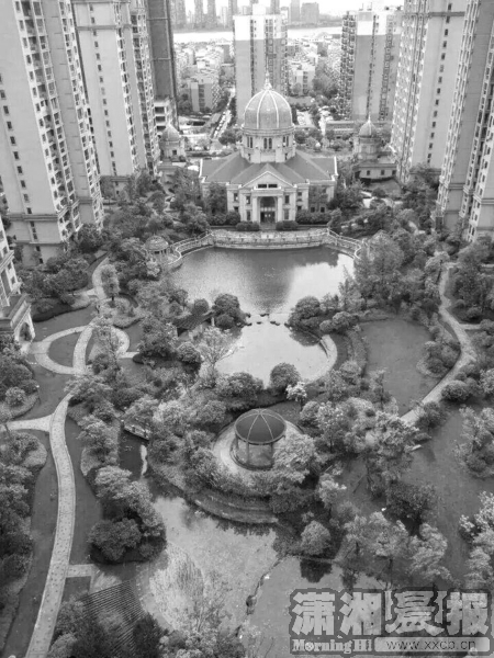 业主私自毁掉绿化建车位可以吗,业主占用小区公共绿化带建车位