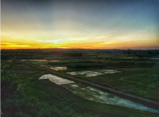 足荣村基本情况,足荣村靠近哪个村