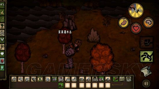 饥荒开局生存技巧详解,饥荒新手开局建家最佳位置