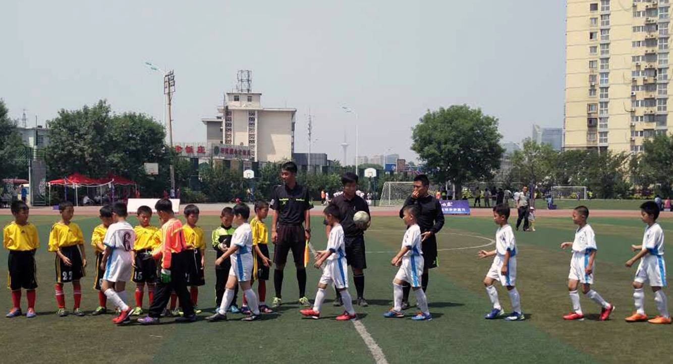 天津市青少年足球锦标赛2024年,2017年天津市青少年足球联赛