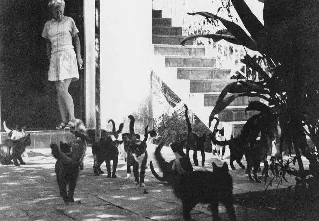 “老爹”海明威诞辰117周年，聊聊关于他鲜为人知的奇葩往事