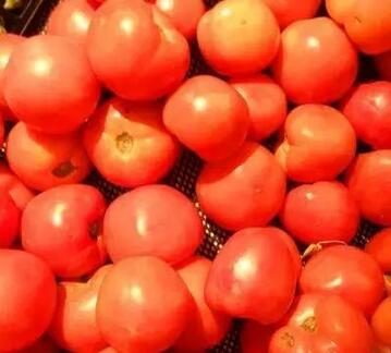 上火长疖子的人吃什么降火最快,上火了长痘怎样降火最快