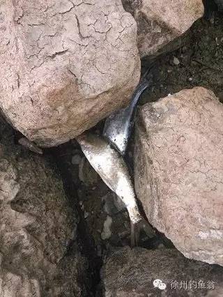 内乡县余关镇杨洼水库,杨洼水库游玩