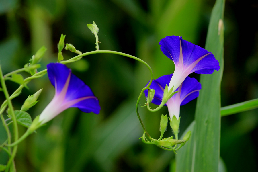 怎么问水瓶女生的兴趣爱好,水瓶女真的很不招男人喜欢吗