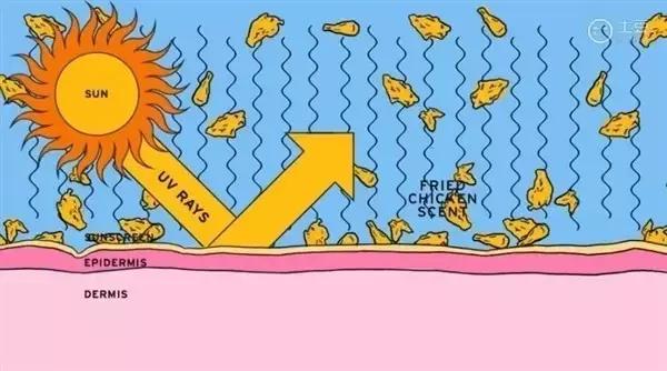 肯德基防晒,不务正业的肯德基