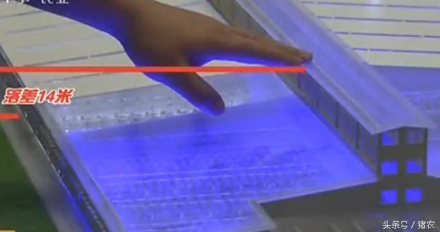 高手建豪华养殖场,怎么样最省钱建猪场