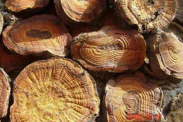 专治烧烫伤奇效方,烧烫伤特效药大全一览表