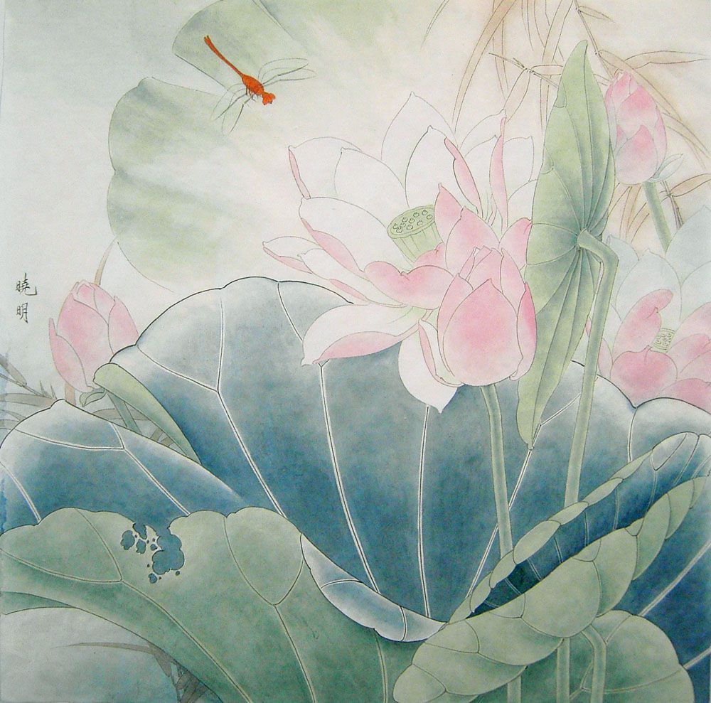 工笔粉红荷花教程,工笔荷花画法入门