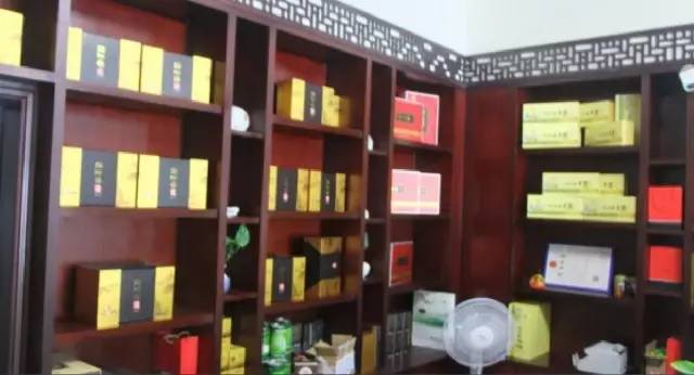 2017年度全国最美茶园,世界上最美茶园是哪里