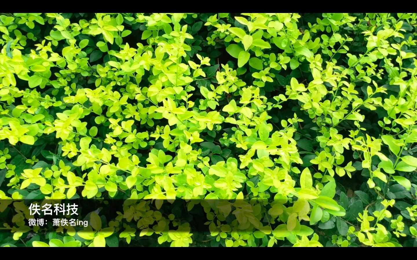 魅族最尴尬旗舰手机,魅族梦想季mx6