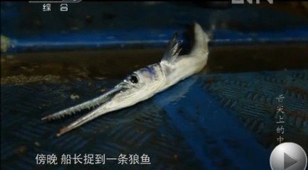 舌尖上的中国最经典的美食,舌尖上的中国有东北菜吗