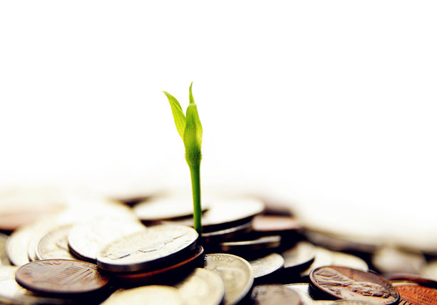 茶叶销售心得体会,现在的茶叶实体店该如何经营