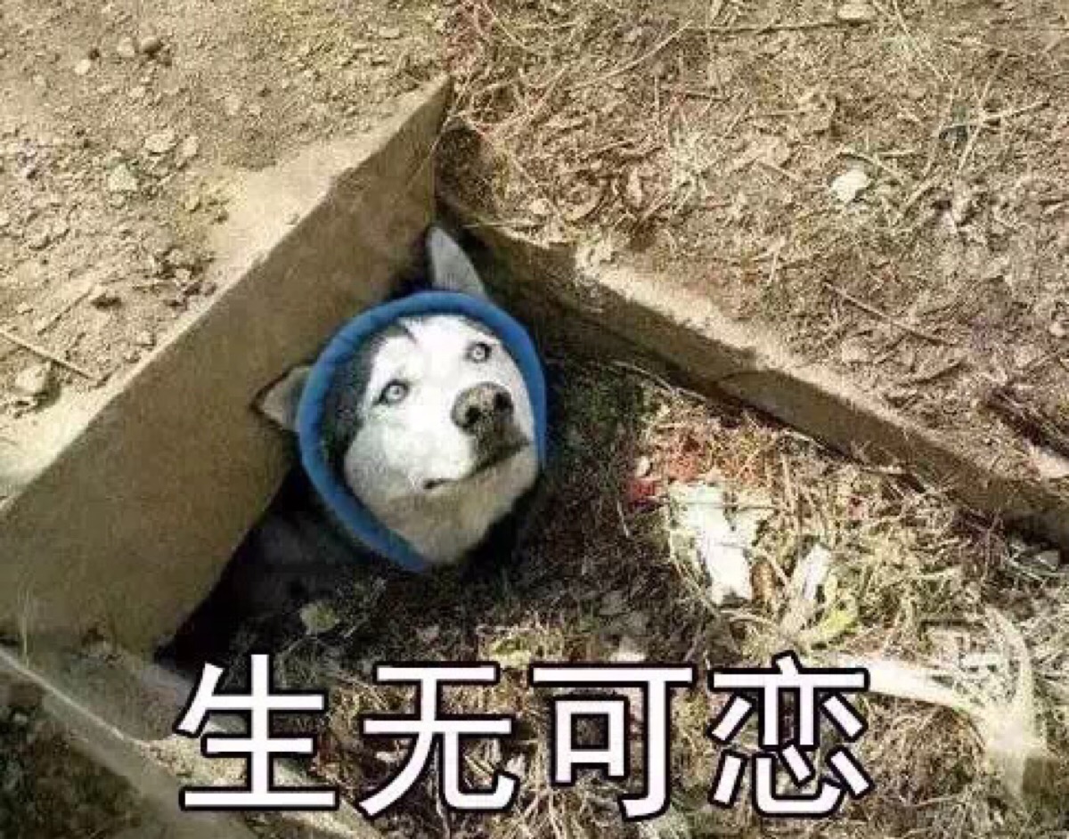 阿吞monica,阿吞剪辑