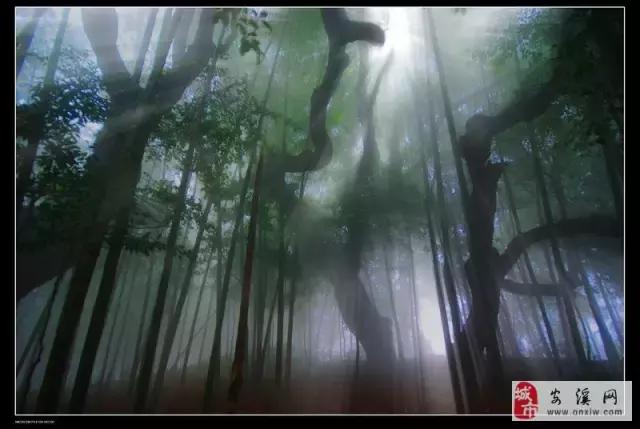 走进中国茶都安溪,看看是怎么样的一座城市