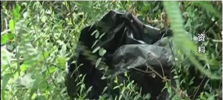 南大碎尸案1996年蒋广善的原型,南大碎尸案1996年凶手找到了吗