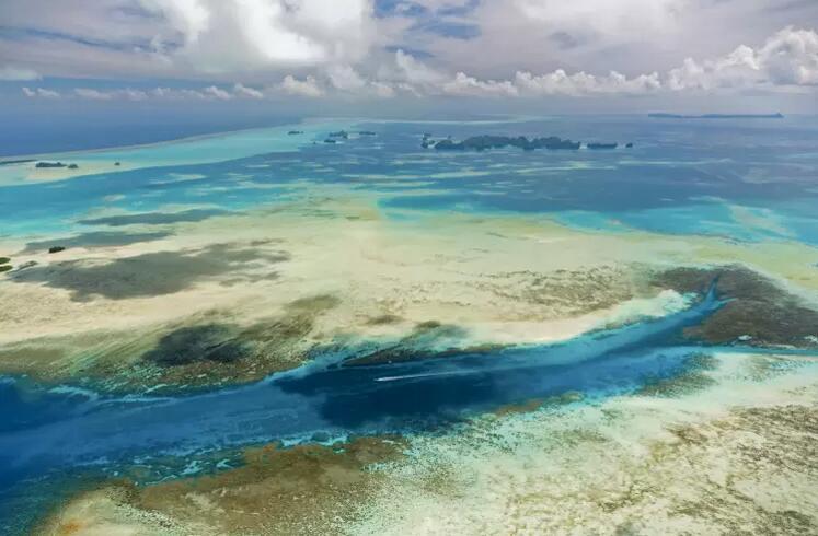 帕劳海底旅游攻略,帕劳海底世界景点