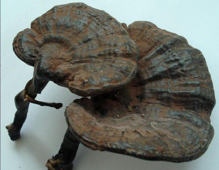 场务必备神器,救场术