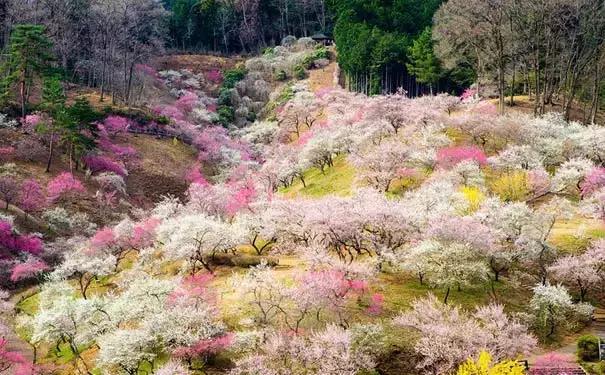 山西身份证为什么是14开头,山西身份证14开头