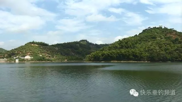 钓草鱼的玉米粒做法,玉米粒双钩钓草鱼钩距