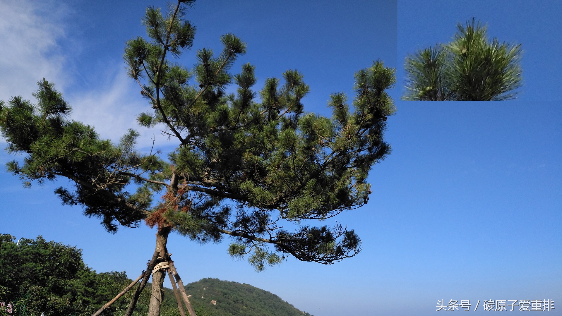 麦芒5有没有nfc,华为麦芒5体验评测