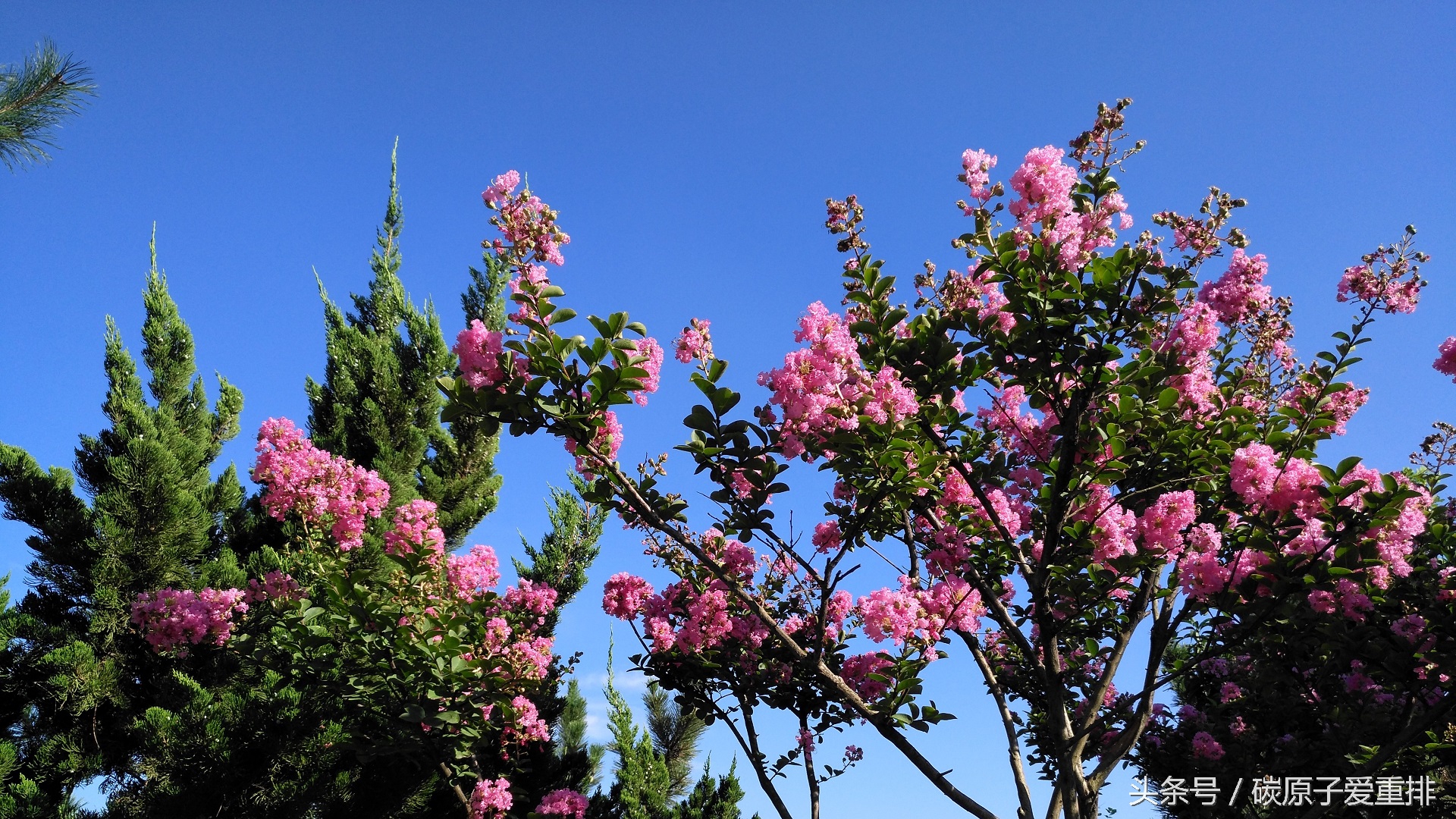 麦芒5有没有nfc,华为麦芒5体验评测