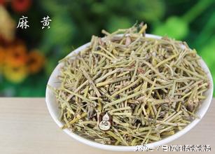 中药里有什么药是有毒的,28种毒性中成药图谱