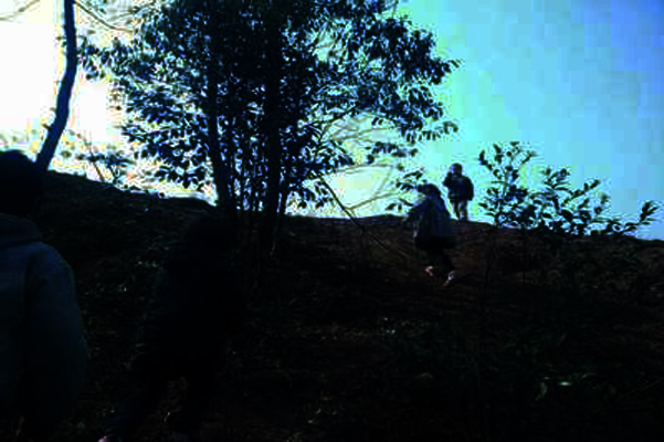 农村夜晚的鬼火怎么形成的,农村野地鬼火是怎么回事