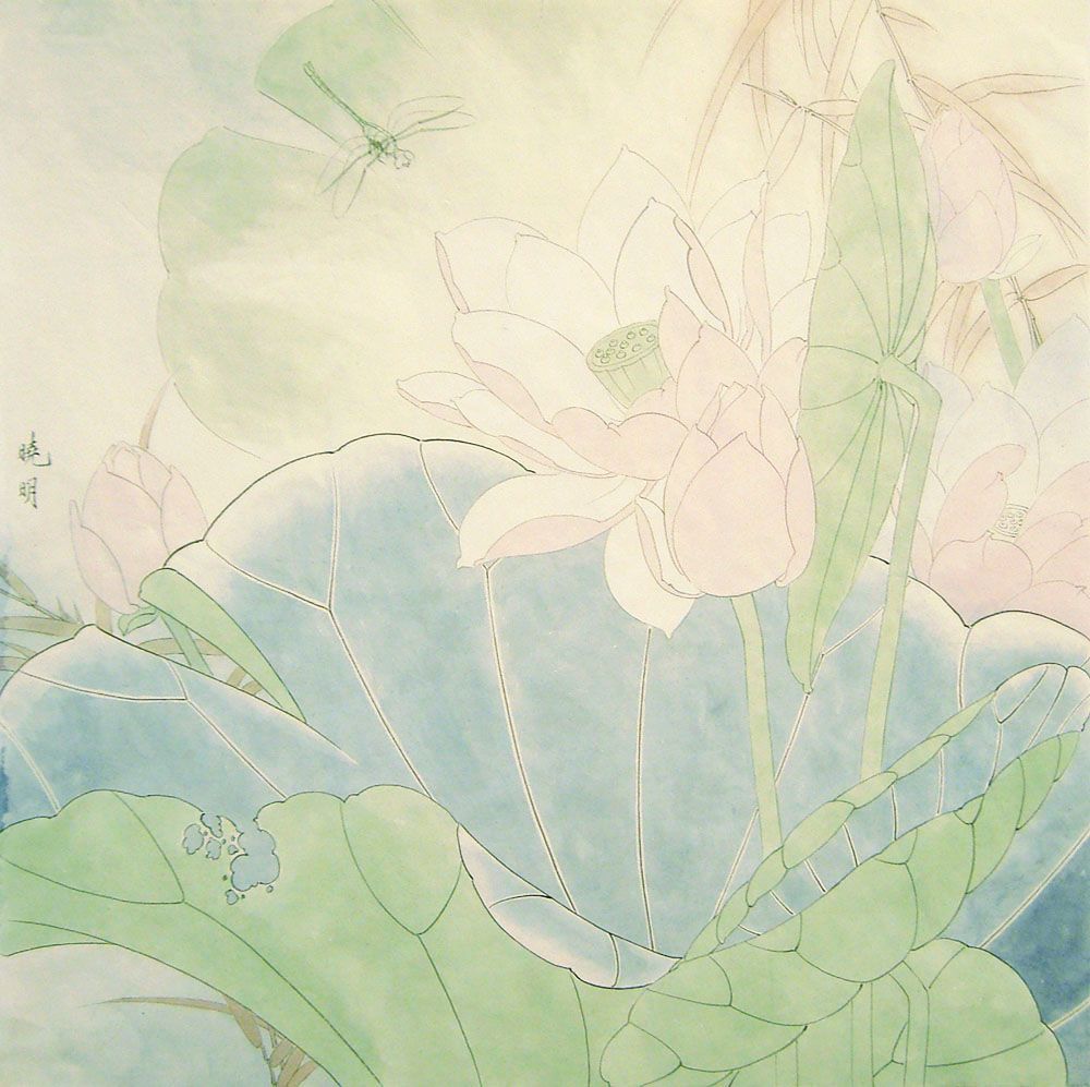 工笔粉红荷花教程,工笔荷花画法入门