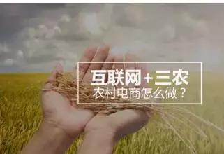 从跑运输到拥有物流公司，他的秘诀是读懂这两大政策