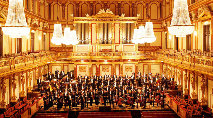 想去奥地利要哪些条件,想去维也纳