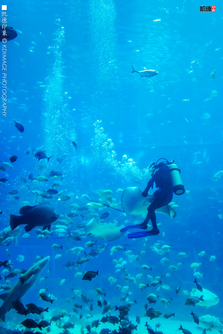 高空南昌美景照片,南昌万达乐园分布图