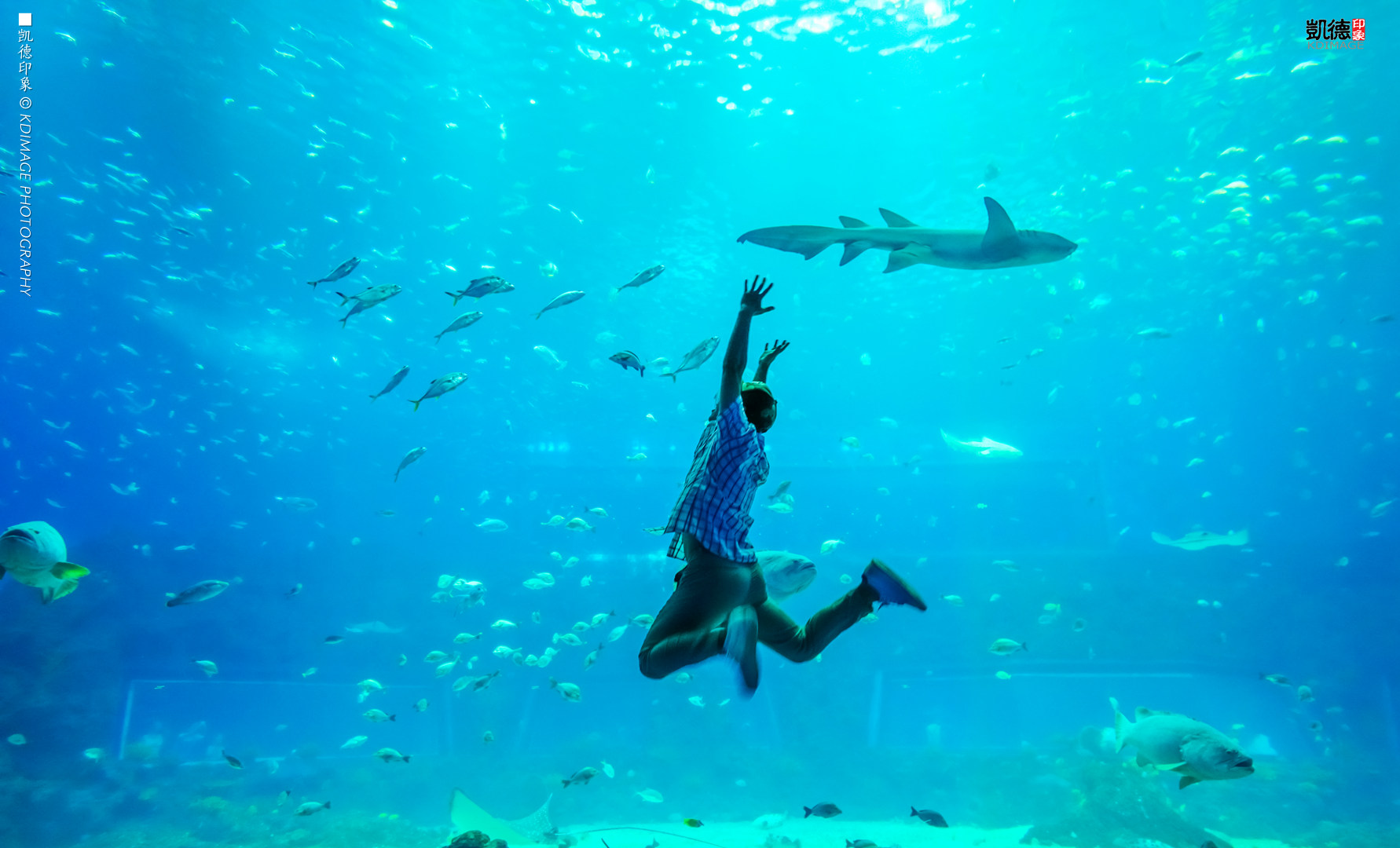 高空南昌美景照片,南昌万达乐园分布图