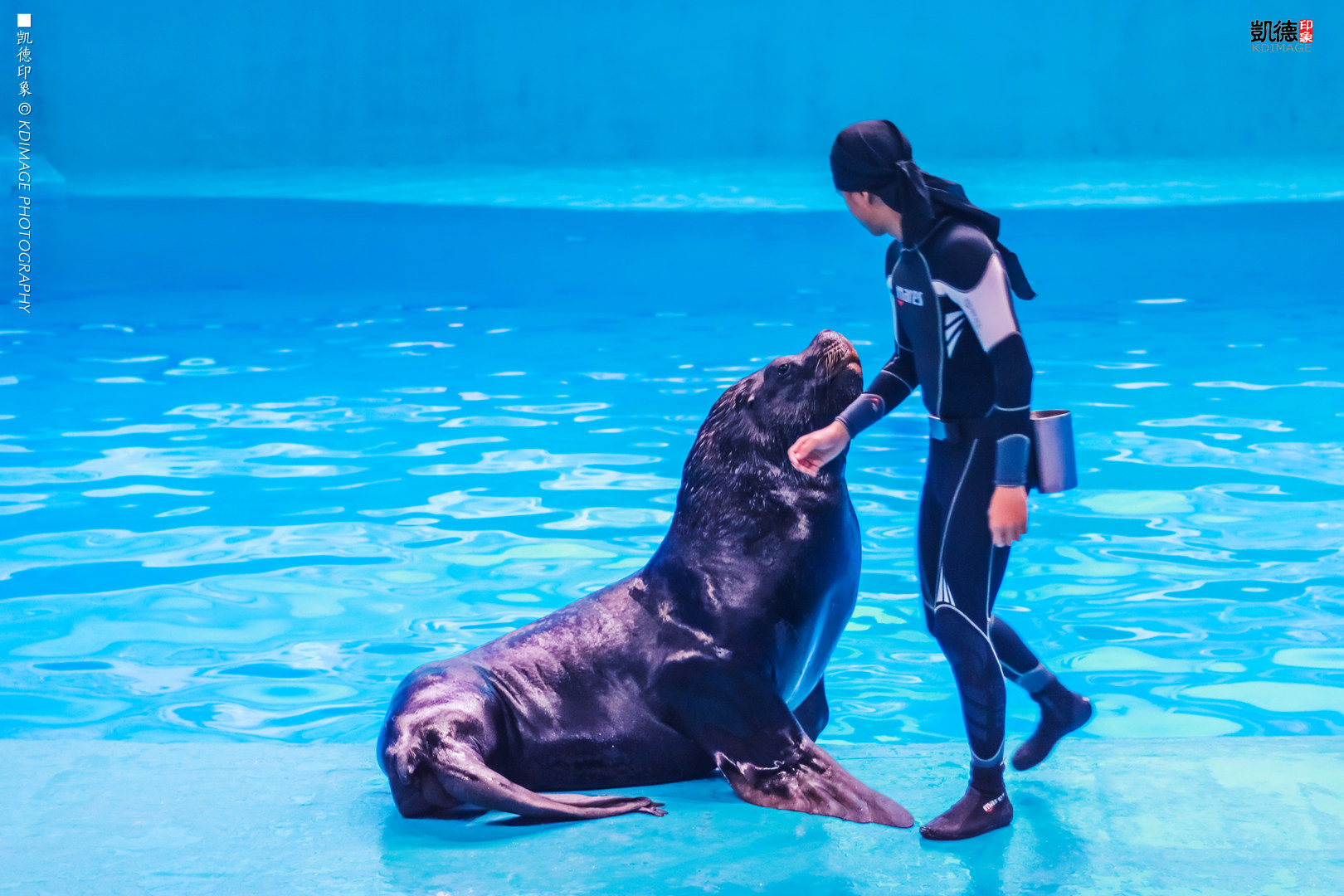 高空南昌美景照片,南昌万达乐园分布图