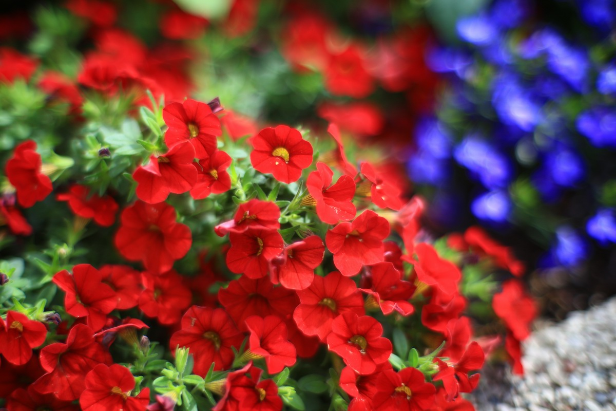 慈禧的化妆品讲究,慈禧太后用的胭脂是什么