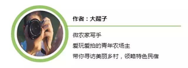 旅行中不期而遇的美好瞬间,旅行遇见一路风景山美水美