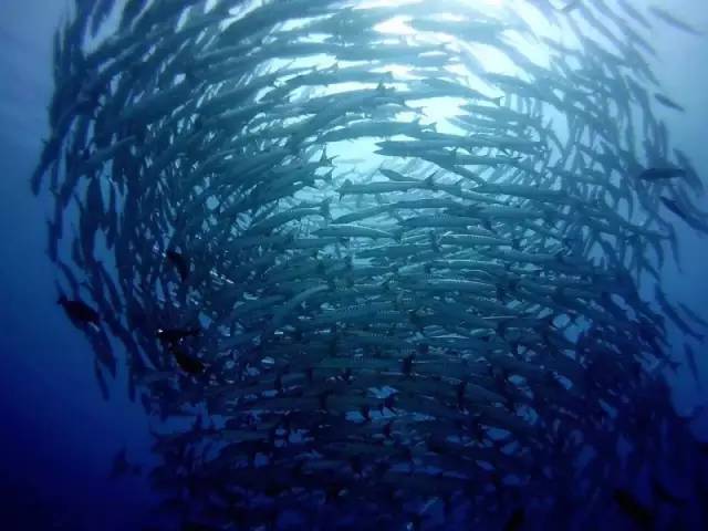 马代值得去的海岛,马来西亚免签去沙巴