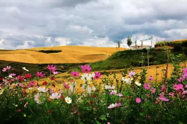 旅行西藏边界,新疆旅游景点推荐江布拉克