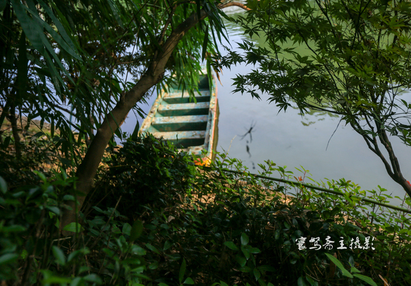 贵州多彩贵州风五日游,走进多彩贵州欣赏贵州美景