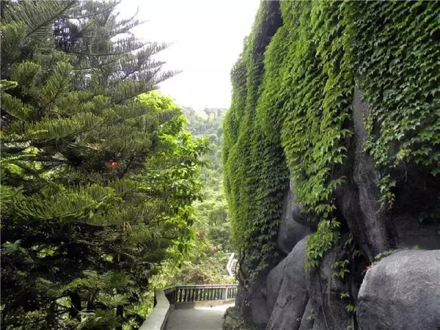 走进中国茶都安溪,看看是怎么样的一座城市