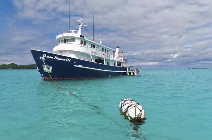 帕劳海底旅游攻略,帕劳海底世界景点