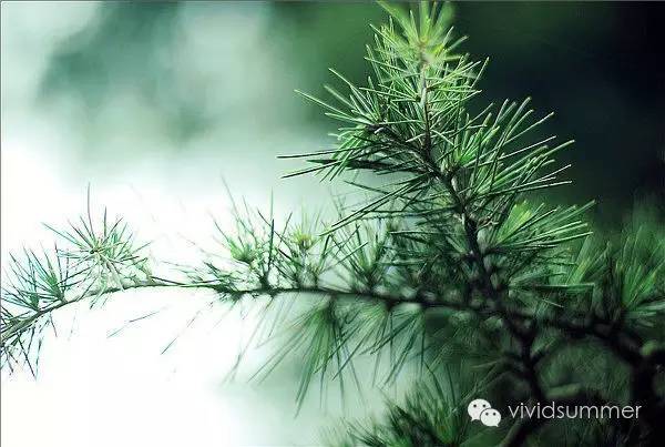 高光护肤祛痘印三大误区,护肤期间会陷入哪些误区