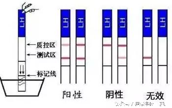 月经周期是40天排卵期怎么计算,简单三招教你如何精准推算排卵期
