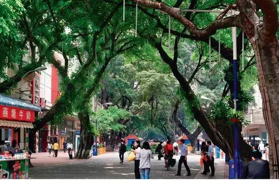 喝过就忘不了!70年光阴,是什么让它成为很多广州人的记忆?