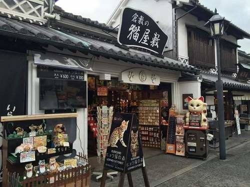 日本猫咖啡店,孟加拉猫咖啡