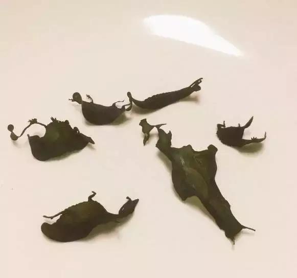 日本零食系列大全,日本创意零食