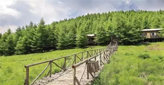 灵石红崖沟图片,灵石后悔沟景区