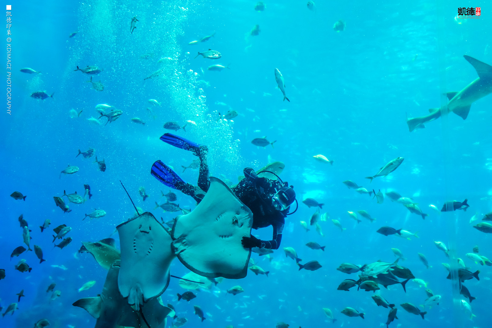高空南昌美景照片,南昌万达乐园分布图