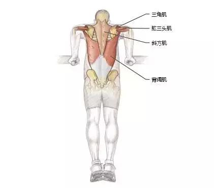 足球运动应该注重什么力量,足球上肢力量训练